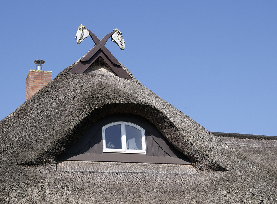 Hausdach eines Hauses in Wustrow