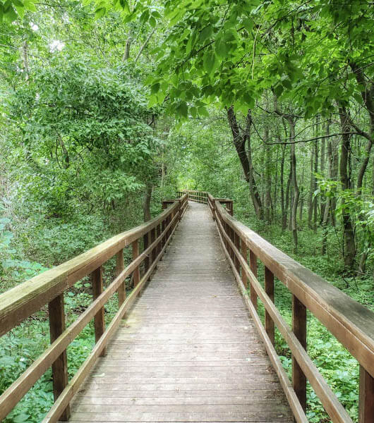 Wanderwege im Müritz-Nationalpark