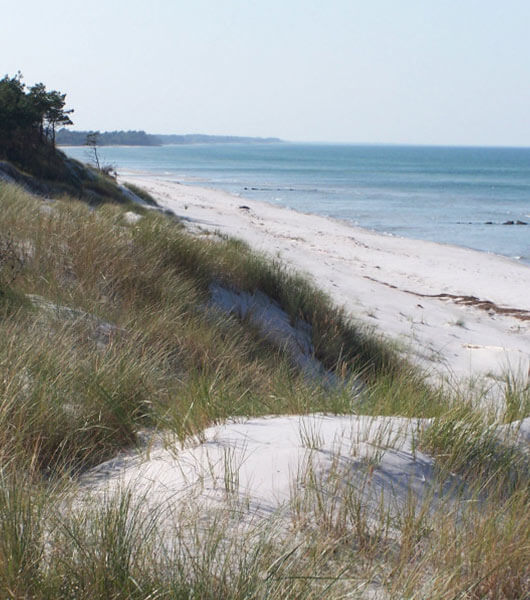 Nationalpark Vorpommersche Boddenlandschaft