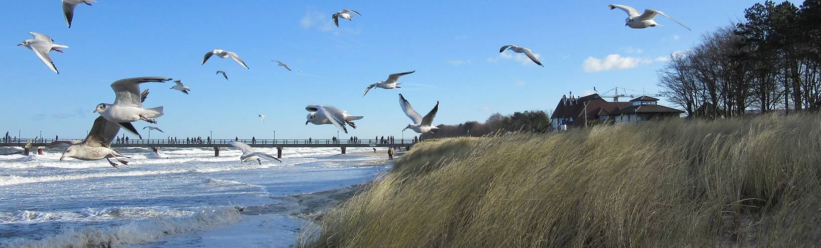 Darß Zingst am Ostsee-Strand aufgenommen