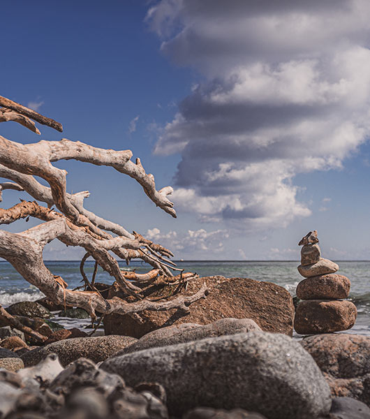 Strand Zingst